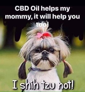 CBD Oil Pets