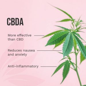 Shows CBDA Benefits